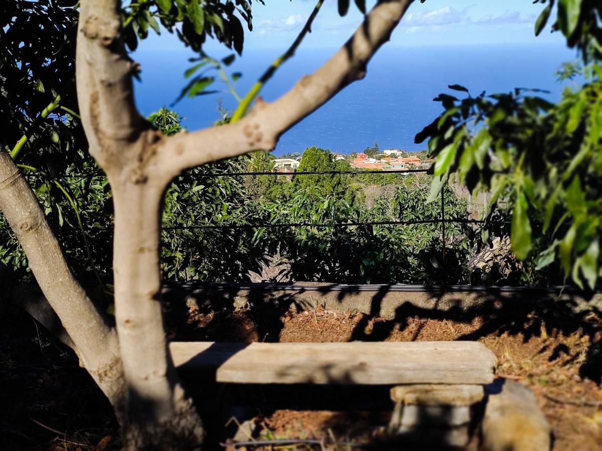 La Casa De La Cartita Villa Puntagorda Eksteriør bilde