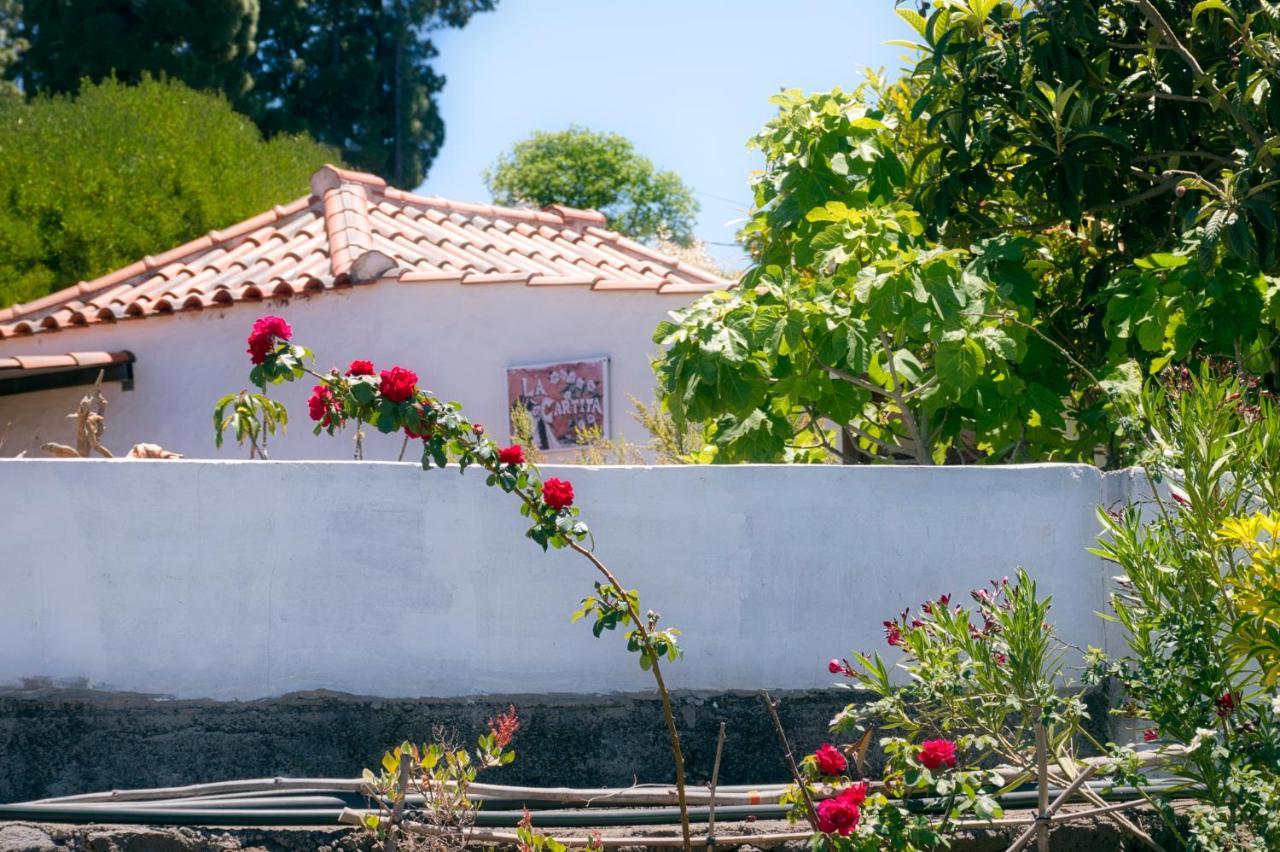 La Casa De La Cartita Villa Puntagorda Eksteriør bilde