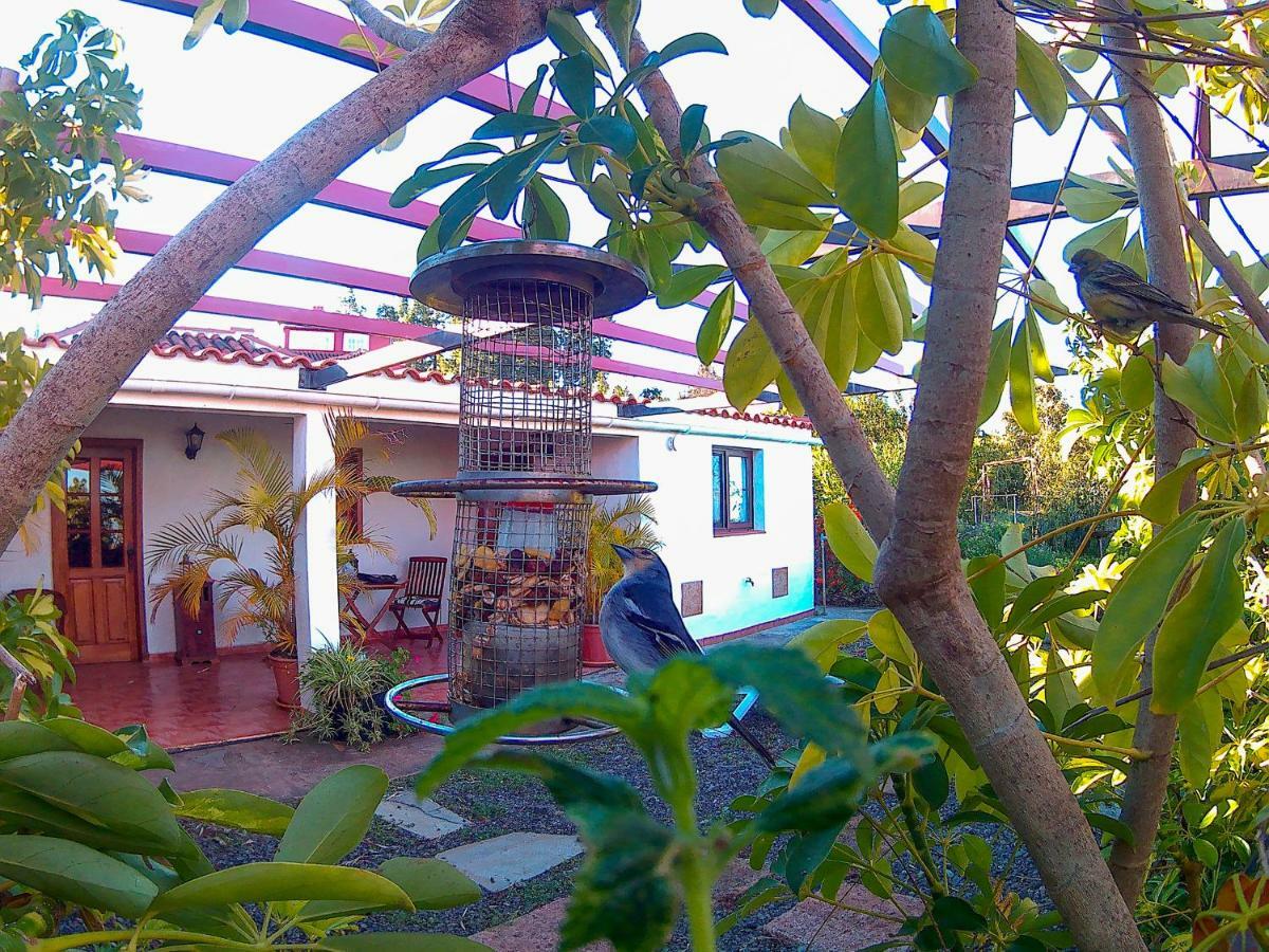 La Casa De La Cartita Villa Puntagorda Eksteriør bilde